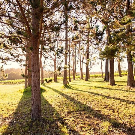 Ruse Estate Retreat Margaret River Rosa Glen ภายนอก รูปภาพ