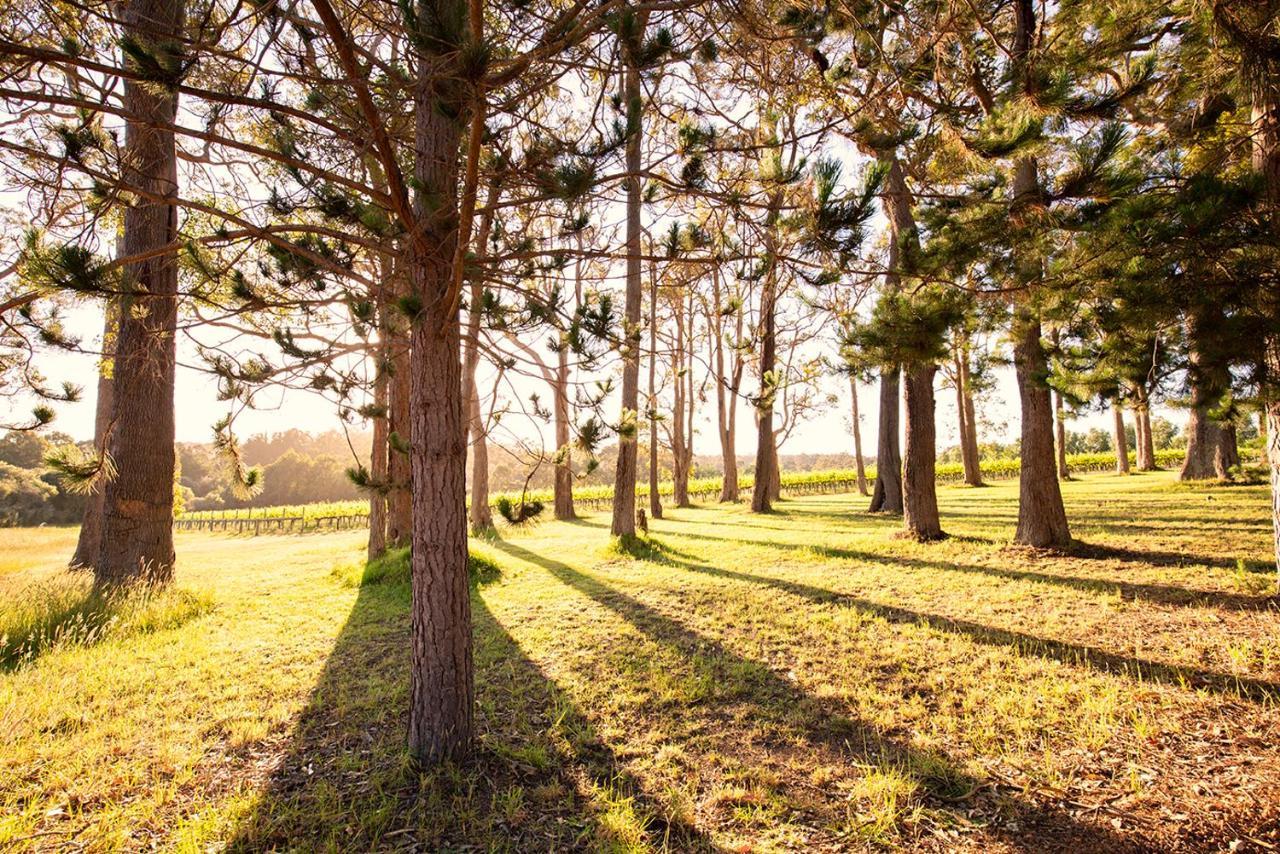 Ruse Estate Retreat Margaret River Rosa Glen ภายนอก รูปภาพ