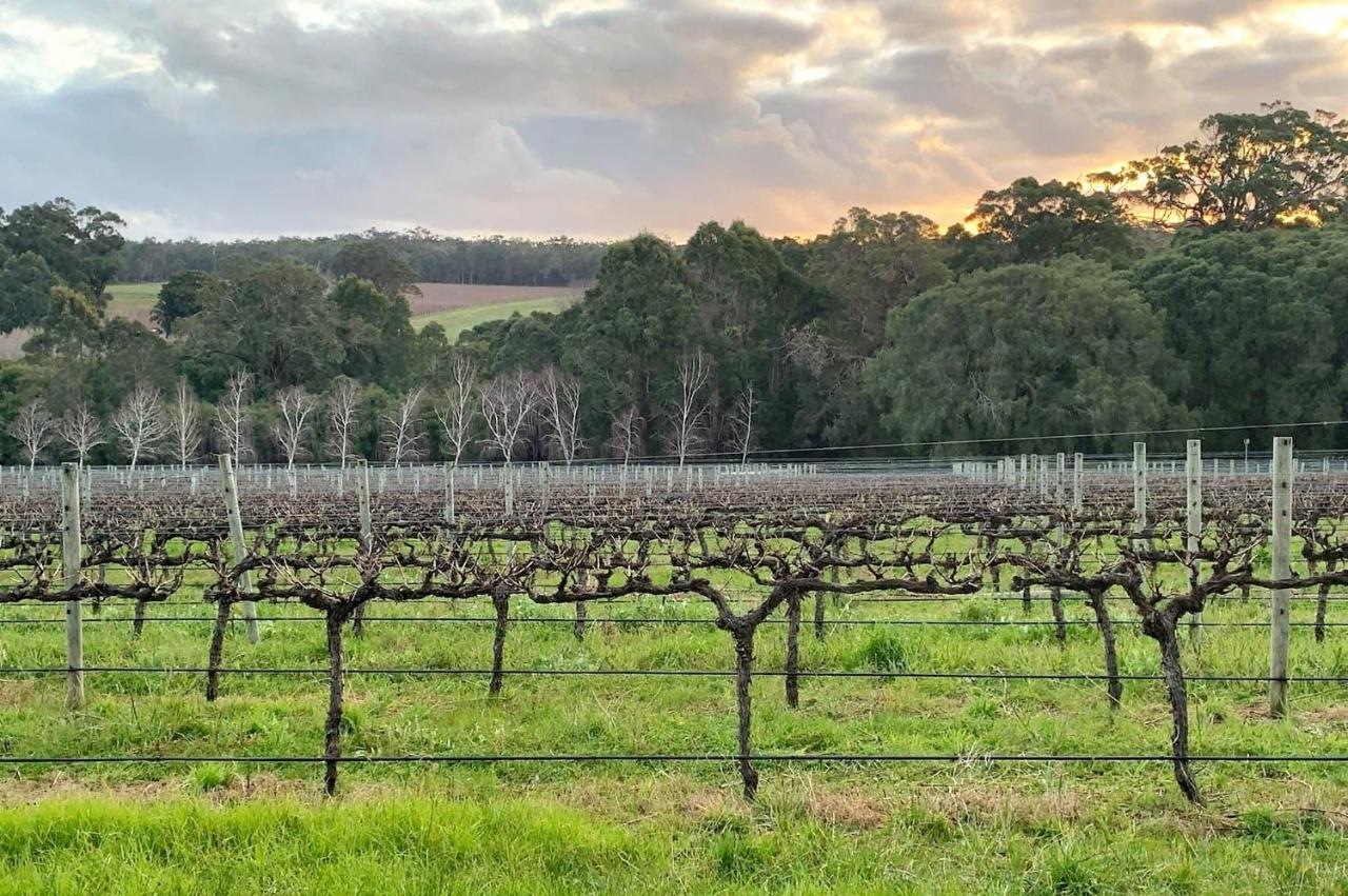 Ruse Estate Retreat Margaret River Rosa Glen ภายนอก รูปภาพ